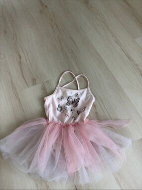 H&M Pale Pink Tulle Ballet Dress
